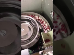 Maszyna do pakowania granulatów pionowego typu wielofunkcyjna dla czekolady, ziaren orzechów przekąski