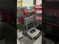 zgrzewarka elektryczna DF280YT