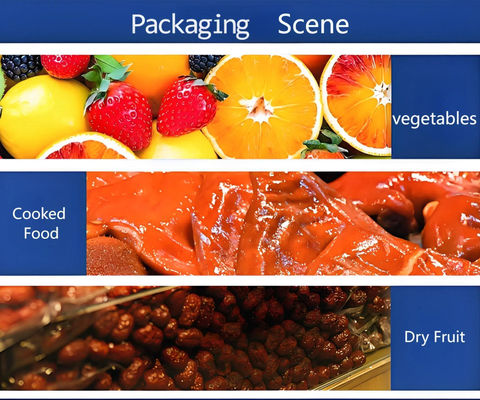 304 Stainless Steel Manual Heat Sealer Machine FR220E with Adjustable Temperature CE Certified for Food Tray Sealing