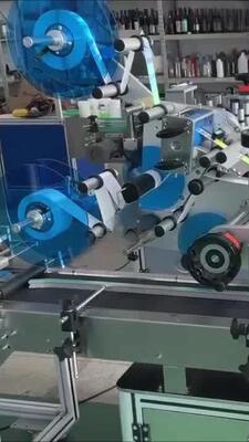 Manufacturer Direct Sale Fully Automatic Lift-and-Labeling Machine CH-602F for Food Self-Sealing Bags and PE Plastic Bags